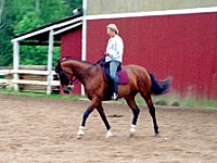 Meg rider